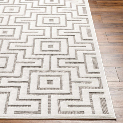 Zevi Beige Outdoor Rug - Clearance