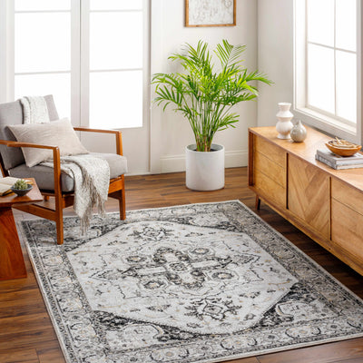 Gauri Gray Medallion Area Rug