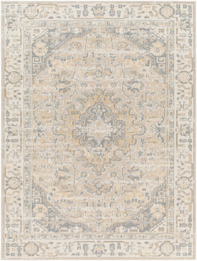 Arien Area Rug - Clearance