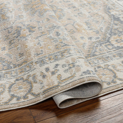 Arien Area Rug - Clearance