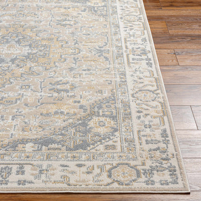 Arien Area Rug - Clearance