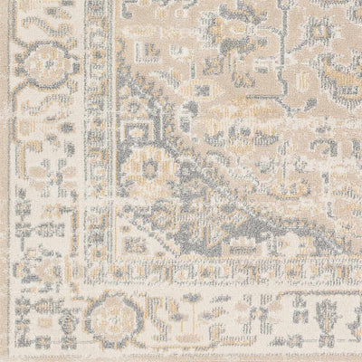 Arien Area Rug - Clearance