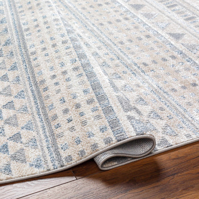 Beige Gray Chipo Area Rug - Clearance