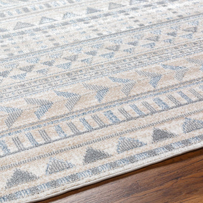 Beige Gray Chipo Area Rug - Clearance