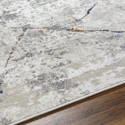 Kynan Gray Marble Area Rug - Clearance