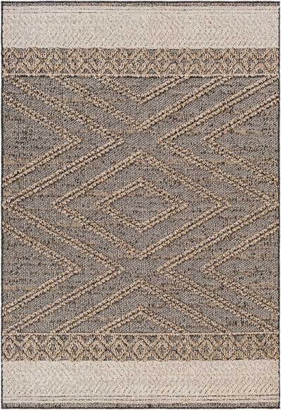 Beige Charcoal Areli Area Rug