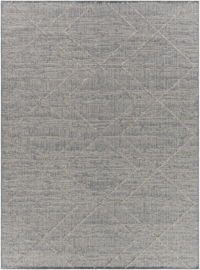 Blue Atsuo Area Rug