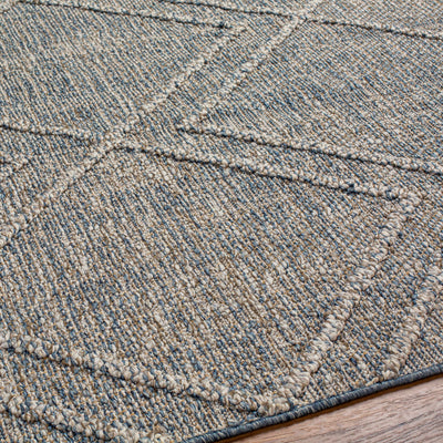 Blue Atsuo Area Rug