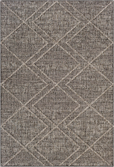 Atsuo Beige Gray Textured Rug