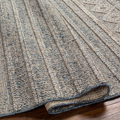 Beige Blue Dekel Area Rug