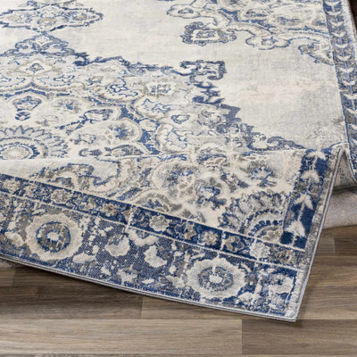 Stanfordville Area Rug - Clearance