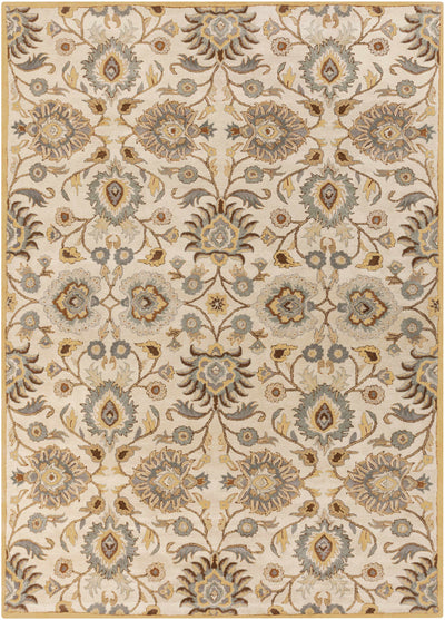 Conesus Hand Tufted Tan 1012 Wool Rug