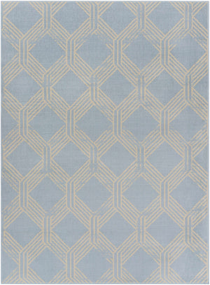 Ice Blue Boonah Area Rug - Clearance