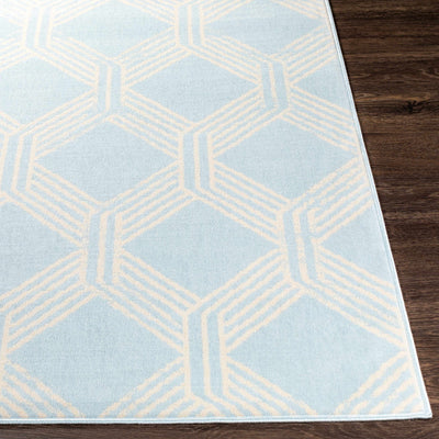 Ice Blue Boonah Area Rug - Clearance