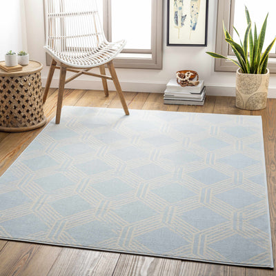 Ice Blue Boonah Area Rug - Clearance