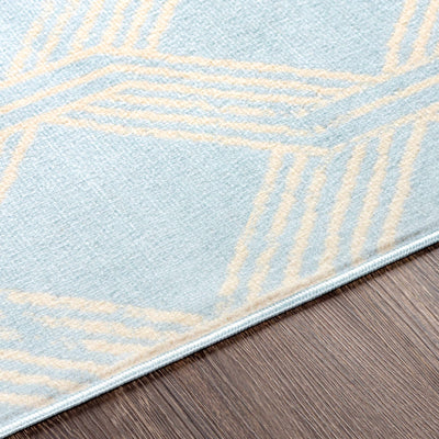 Ice Blue Boonah Area Rug - Clearance