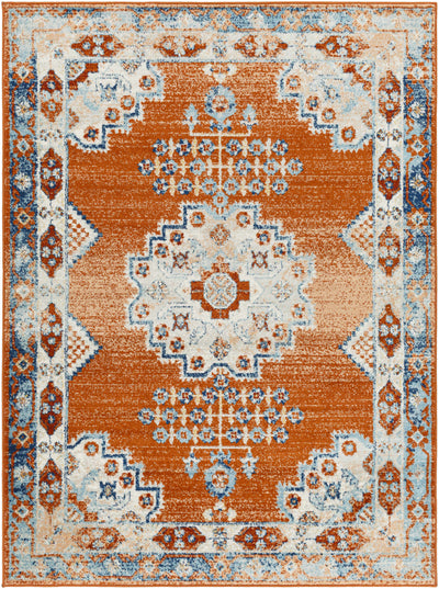 Susuz Area Rug - Clearance