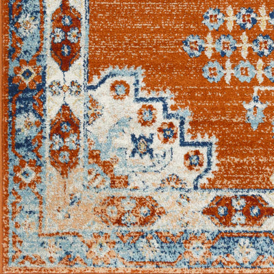 Susuz Area Rug - Clearance