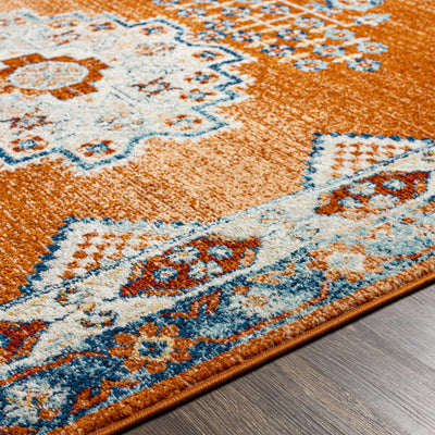 Susuz Area Rug - Clearance