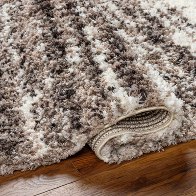 Admon Brown Plush Area Rug