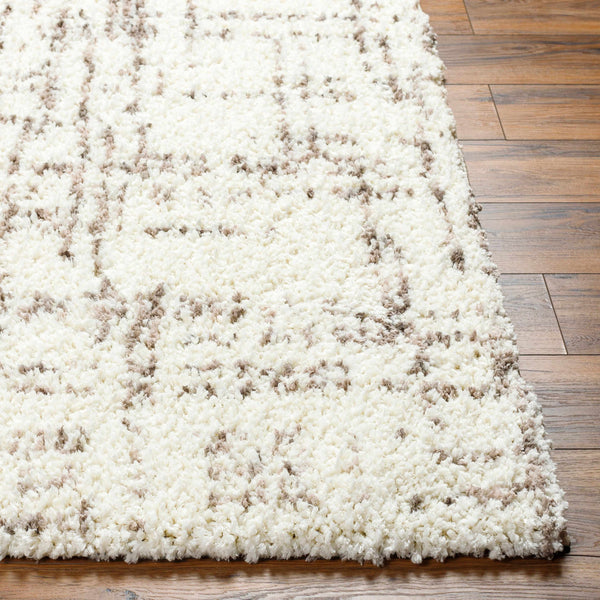 Asimo Area Rug