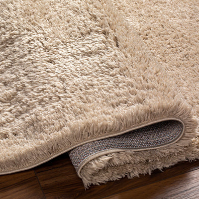 Beige Allon Area Rug - Clearance