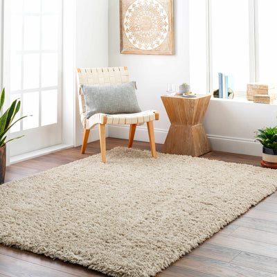 Beige Allon Area Rug - Clearance