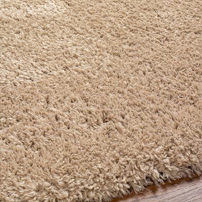 Beige Allon Area Rug - Clearance