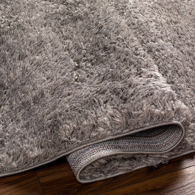 Gray Allon Area Rug - Clearance