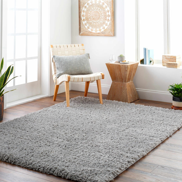 Gray Allon Area Rug - Clearance