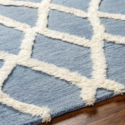 Adica Blue Wool Area Rug