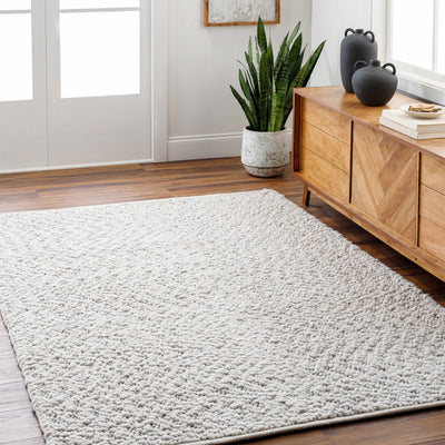 Oved Area Rug