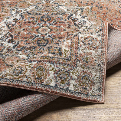 Swinford Traditional Area Rug - Clearance