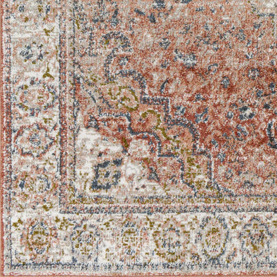 Swinford Traditional Area Rug - Clearance