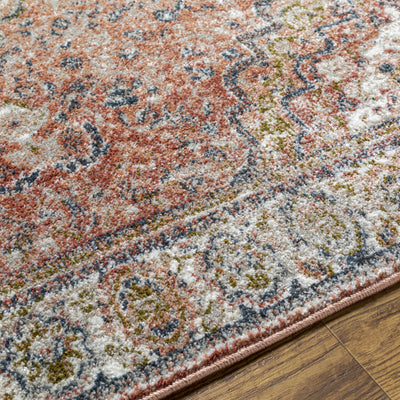 Swinford Traditional Area Rug - Clearance