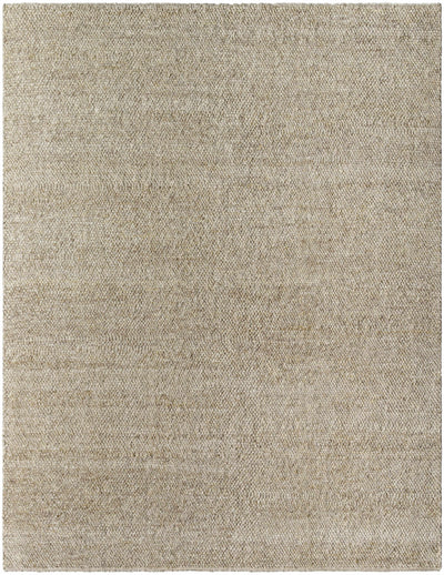 Norio Beige Wool Area Rug