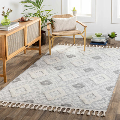 Tabonoc Area Rug - Clearance