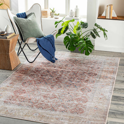 Tapia Washable Area Rug - Clearance