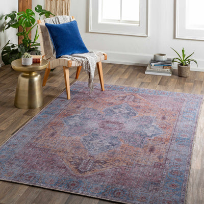 Otaki Purple & Brown Washable Area Rug - Clearance