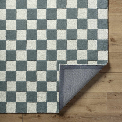 Timin Blue Gray Checkered Area Rug