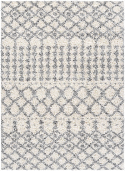 Teheran Area Rug - Clearance