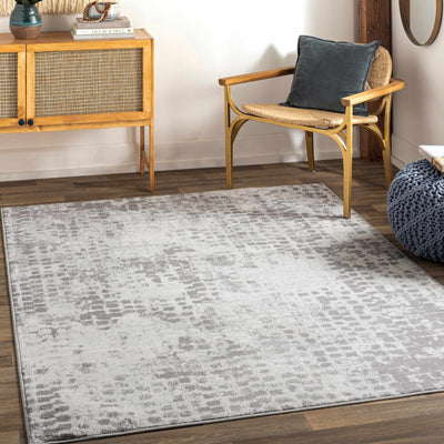 Sandown Gray Area Rug - Clearance