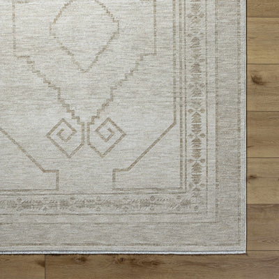 Taban Area Rug