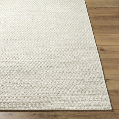 Tevah Siver Wool Rug