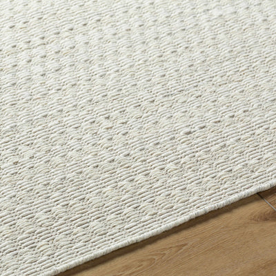 Tevah Siver Wool Rug