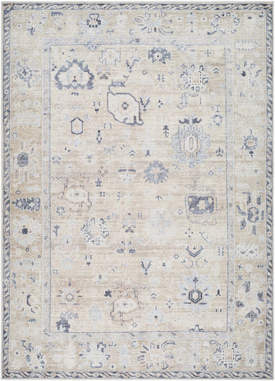 Toddy Area Rug