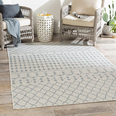 Ivory Blue Summit Indoor & Outdoor Rug - Clearance