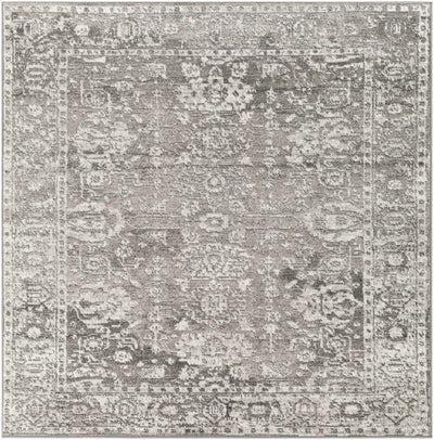 Tripp Distressed Gray Rug