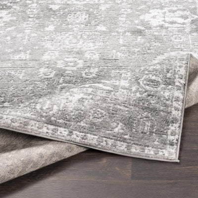 Tripp Distressed Gray Rug