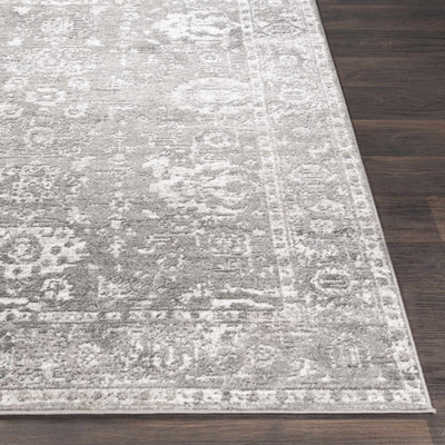 Tripp Distressed Gray Rug